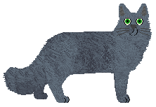 Blue Little Room's Fantastic Four — “Cassie”