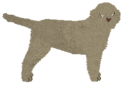 Profile image of Rynnti Santa Marinella