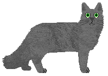 SECHE Pomiędzy ciszą a ciszą — “Cisza”