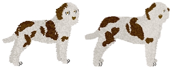 Profile image of Kamvis' Albano Laziale