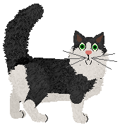 SECHE Wspomnienie — “Chyża”