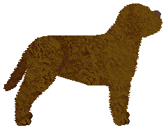 Energizing RADIOACTIVE — “Chandler”