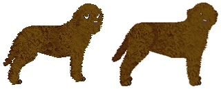 Profile image of Energizing RADIOACTIVE