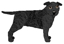 Profile image of My Lullaby STAFFKAR