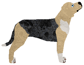 Cedar Ridge's The Glory Days — “Benson”