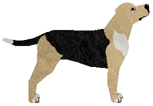 Cansas' Scooby Doo Where Are You — “Scooby”