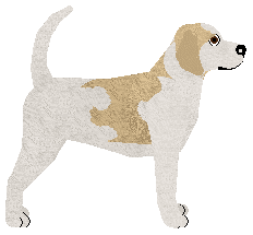 Sunbound's Identity Crisis — “Chronic”