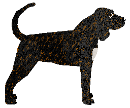 Cansas' Whoz Crying Now — “Chantilly”