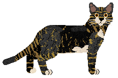 SECHE/LWH's Uncas — “Shaggy”