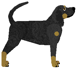 Oakley's Rockabilly Guy — “Jive”