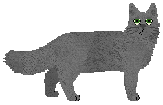 Glammies/Sakura Cassino — “Verba”