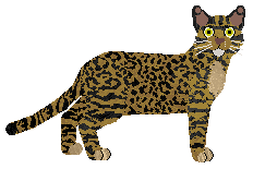 SECHE Zbuntowany — “Zbój”