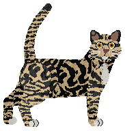 SECHE Księżyc zza chmur — “Acco”