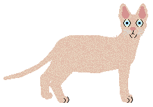 SECHE Po prostu — “Dukla”