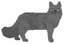 Pins'n'Needles' CIĘŻKI PRZYPADEK — “Juna”