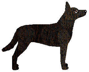 Dragosani PIEKŁO ZAMARZŁO — “Raven”