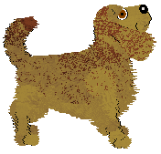 Profile image of BFK's Fancy Floodgate