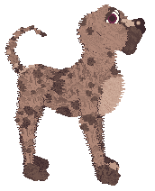 FDL Marche des Beignets en Chocolat at Tao — “Beignet”