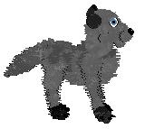 HKC's Captain Obvious at Chachke — “Blitzen”