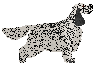 SettFever Saturday Night — “Black”