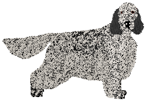 Profile image of SettFever Saturday Night