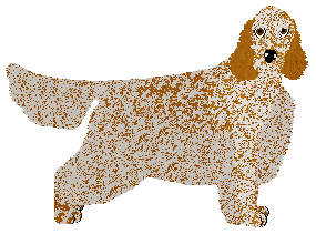 Profile image of SettFever Totally In Love