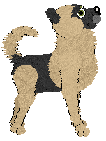 SeaGlass's Being Original — “Maximilian”