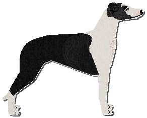 Profile image of Jetstream On Earth We're Briefly Gorgeous