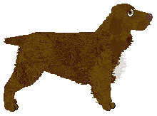 Energizing LA LUNA — “Laluna”