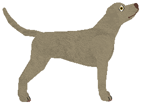 Loveshack Silver — “Master”