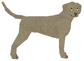 Profile image of Loveshack Silver