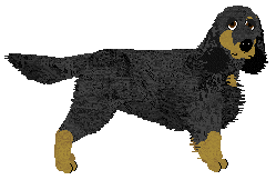 Profile image of Energizing Skiddley Whiffers