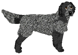 Profile image of Energizing To Be So Lonely