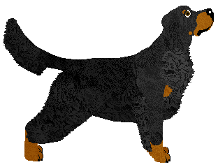 SettFever Original Me — “Synek”