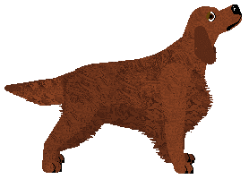 Andervale's Written in Flame — “Quaid”