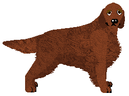 Profile image of Andervale's Written in Flame