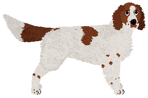 Profile image of SettFever Yanda