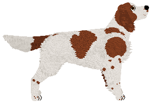 Evanescence My Immortal — “Smerfik”