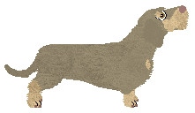 Energizing White House — “Morty”