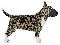 Cansas' Cud Natury — “Soyer”