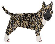 Profile image of Cansas' Cud Natury