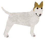 Profile image of Tapfur's Word from the Bird