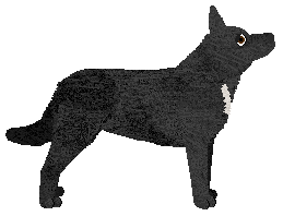 Oakwood's Barcelona — “Willow”