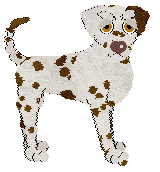 Poppyhill Embers of the Phoenix at Tao — “Fireball”