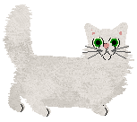 Macabre's Cupboard Staple — “Shoyu”