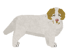 Profile image of Geriatrix Lovely Bit Of Squirrel