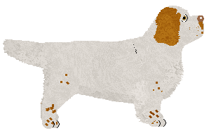 Geriatrix Guinea Fowl Blues — “Jus”