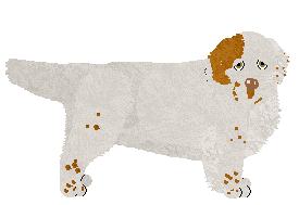 Profile image of Geriatrix Guinea Fowl Blues