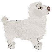 Geriatrix Spice Girl — “Mustard”