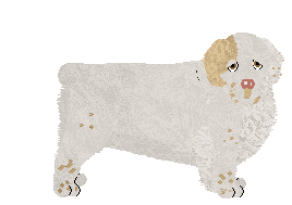 Profile image of Geriatrix Swimming In It